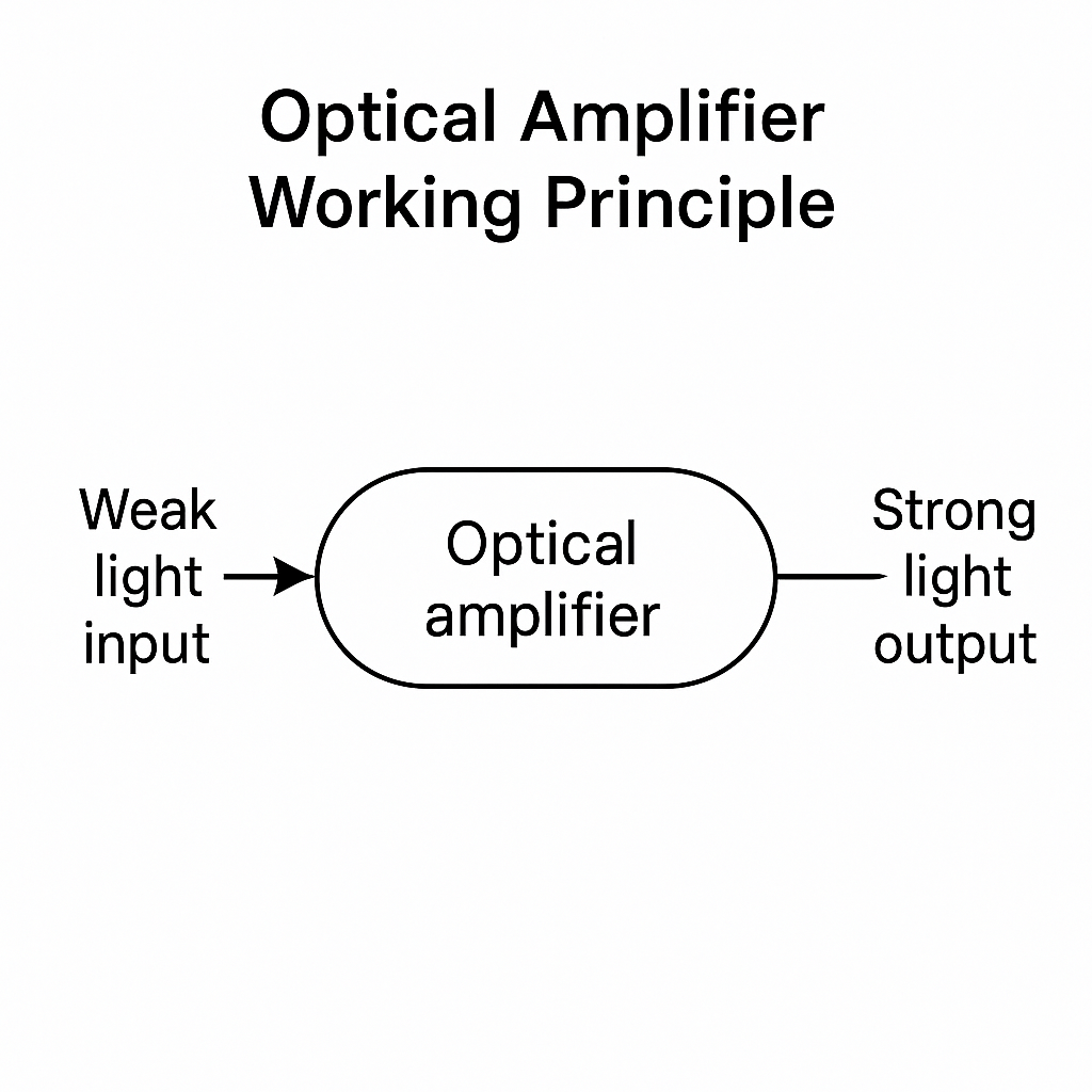 l Amplifier Magnification Factor001.png